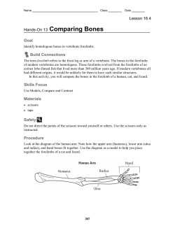 Hands-On 13 Comparing Bones