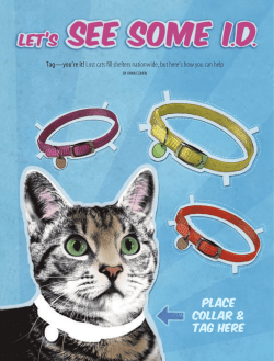 change his attitude - The Humane Society of the United States