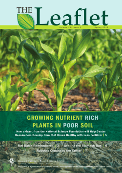 GROWING NUTRIENT RICH PLANTS IN POOR SOIL