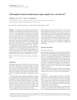 Chlorophyll content monitoring in sugar maple (Acer saccharum)