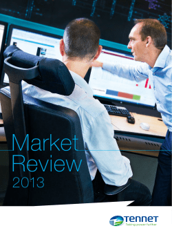 Tennet market review 2013