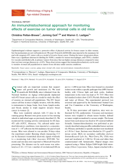 An immunohistochemical approach for monitoring effects of exercise