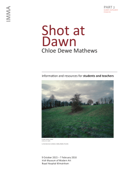 shot at dawn resources main