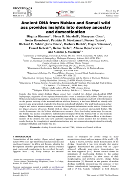Ancient DNA from Nubian and Somali wild ass provides insights into