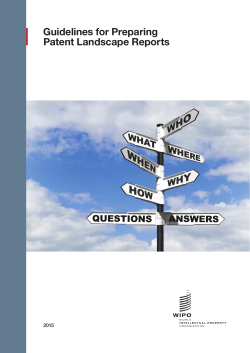 Guidelines for Preparing Patent Landscape Reports