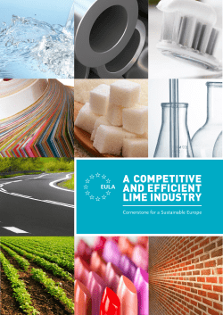 a competitive and efficient lime industry