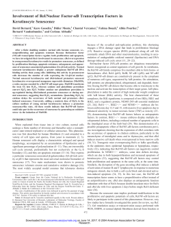 Involvement of Rel/Nuclear Factor- B