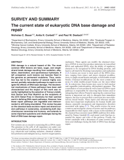 SURVEY AND SUMMARY The current state of eukaryotic DNA base