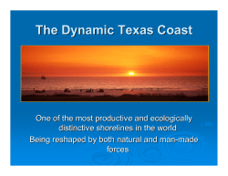 The Dynamic Texas Coast - Strong Coast Strong Texas