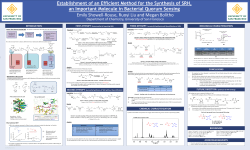 Establishment of an Efficient Method for the Synthesis of SRH, an