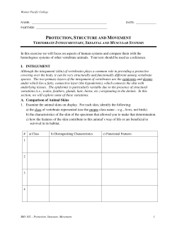 protection, structure and movement