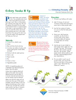 Celery Soaks It Up - American Chemical Society