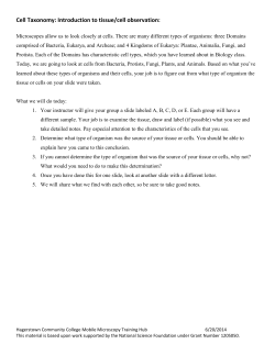 Cell Taxonomy Worksheet (pdf 242 KB)