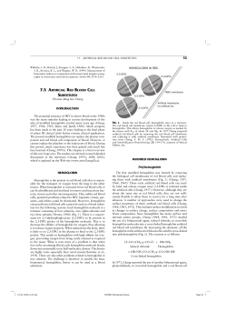 7.5 artificial red blood cell substitutes