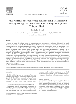 steambathing as household therapy among the Tzeltal and Tzotzil