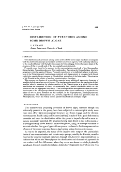 DISTRIBUTION OF PYRENOIDS AMONG SOME BROWN ALGAE
