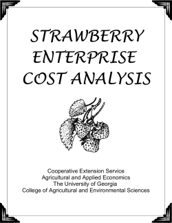 2002 Strawberry - UGA CAES