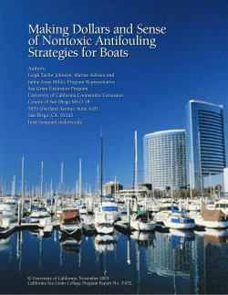 Making Dollars and Sense of Nontoxic Antifouling Strategie