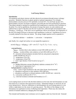 Leaf Energy Balance