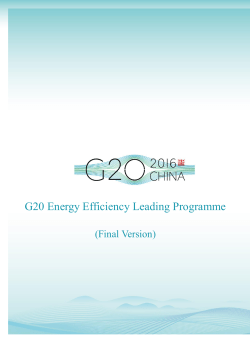 G20 energy efficiency leading programme