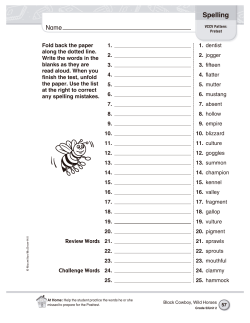 Spelling Practice Book