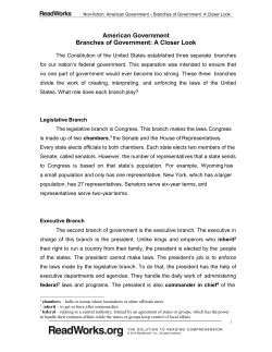 American Government Branches of Government: A Closer Look