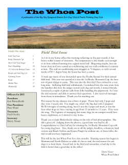 Sept 2015 - Big Sky Epagneul Breton Gun Dog Club