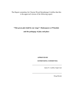 Stromberger Masters Report - The University of Texas at Austin