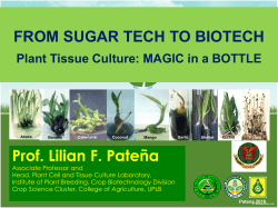 2. Prof. Patena OYS 1990_From Sugar tech to