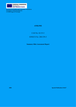 EU Summary risk assessment report