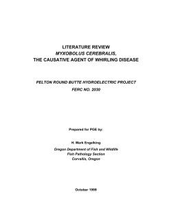 literature review myxobolus cerebralis, the causative agent of