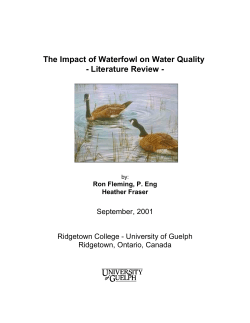 The Impact of Waterfowl on Water Quality - Literature Review -