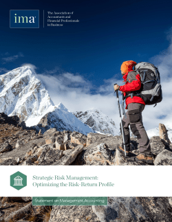 Strategic Risk Management: Optimizing the Risk-Return Profile
