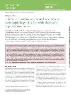 Effects of foraging and sexual selection on ecomorphology of a fish