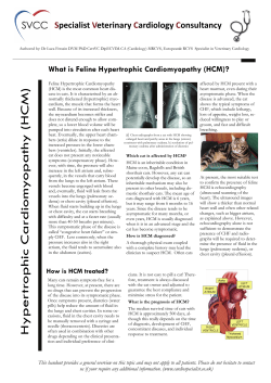 HCM - Specialist Veterinary Cardiology Consultancy