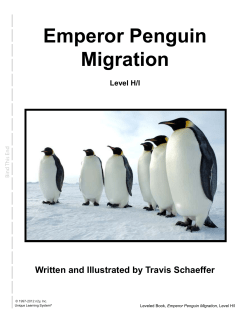 Emperor Penguin Migration Level H/I