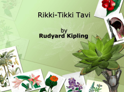 Rikki-Tikki Tavi