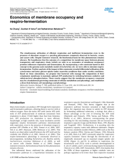 Economics of membrane occupancy and respiro‐fermentation