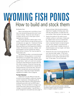 Wyoming fish ponds: How to build and stock them