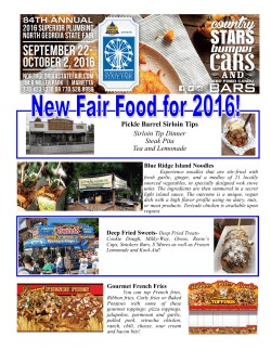 New Fair Foods - North Georgia State Fair