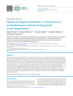 Uptake of inorganic phosphate is a limiting factor for Saccharomyces