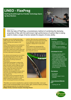 Business Case - TENNIS RACKET