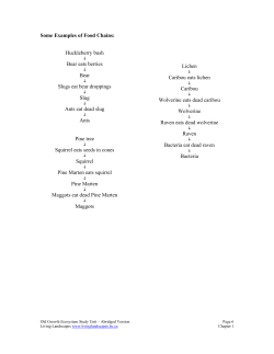 Some Examples of Food Chains: Huckleberry bush Bear