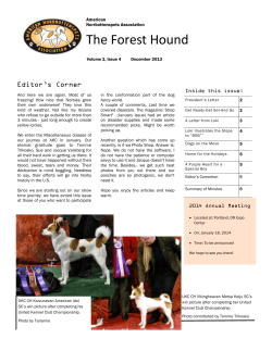 The Forest Hound - American Norrbottenspets Association