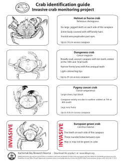 Crab Identification Guide: Invasive Crab Monitoring Project