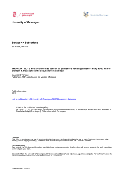 Surface  Subsurface de Neef, Wieke