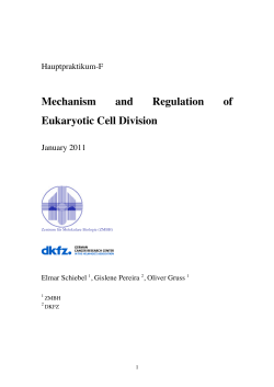 Mechanism and Regulation of Eukaryotic Cell Division