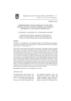 IN HORSES, WITH SPECIAL REFERENCE TO ITS CLINIC