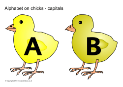 Numbers 0-50 on chicks