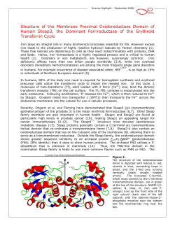 Structure of the Membrane Proximal Oxidoreductase Domain of